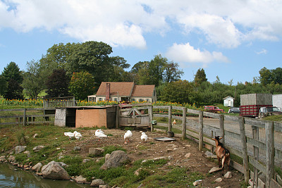 乡村农场图片下载