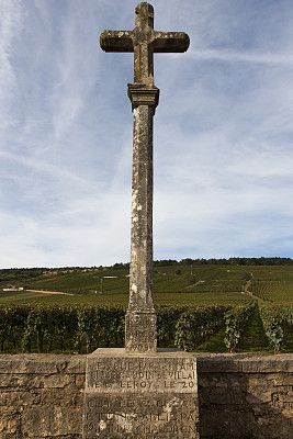 法国勃艮第的葡萄园图片下载