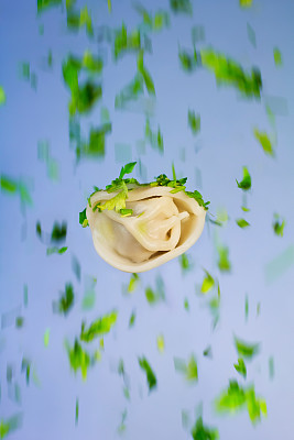 飞行的饺子。图片下载