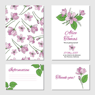 苹果花，叶子手绘孤立在白色背景上，无缝矢量花卉图案，粉色樱花线艺术纹理，装饰框架，设计贺卡，婚礼请柬，包装化妆品图片下载