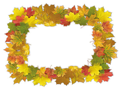 花的抽象背景图片下载