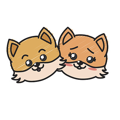 可爱的一对野生动物与美丽的表情图片下载