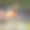 粉红色的火烈鸟在大自然的池塘里图片下载