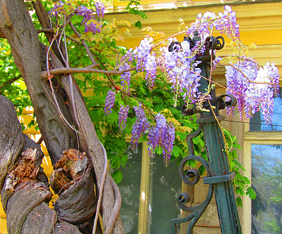 人类自然(&)图片下载