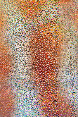 抽象的背景图片下载