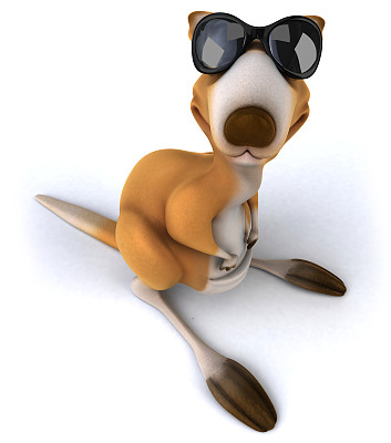 有趣的袋鼠图片下载