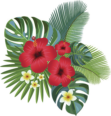 热带成分。图片下载