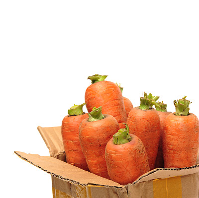 新鲜胡萝卜特写的白色背景图片下载