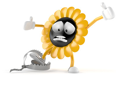 向日葵图片下载