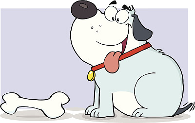 灰色快乐的胖狗与骨头和背景图片下载