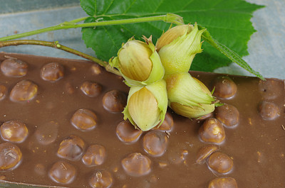 榛子壳和巧克力图片下载