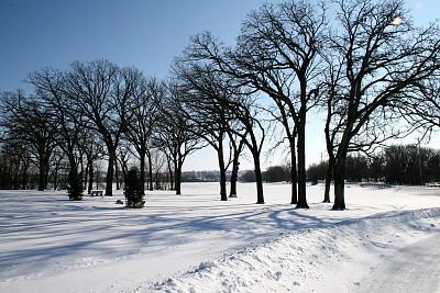 冬季的一天图片下载