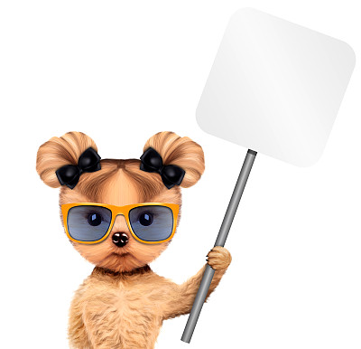 滑稽的小狗拿着空横幅图片下载