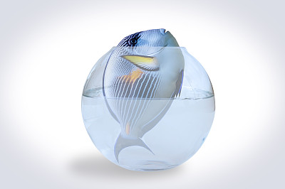 大鱼在小屋里图片下载