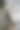 螺旋森林图片下载