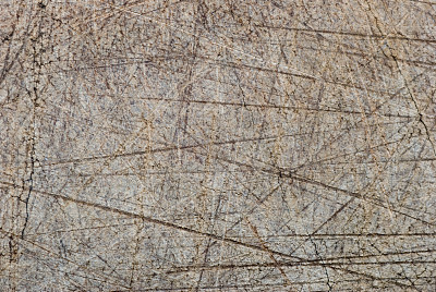 木菜板面图片下载