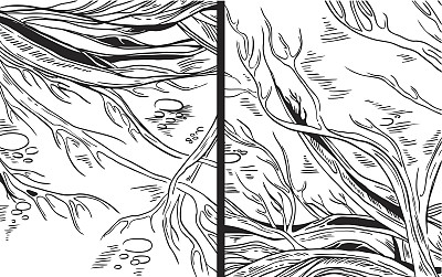 矢量图形草图-森林，树木，根图片下载