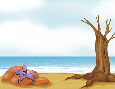 石头里的海星图片下载