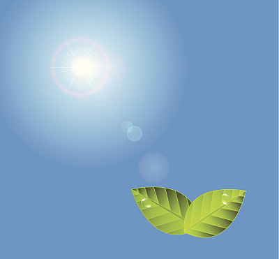 向量夏天背景图片下载