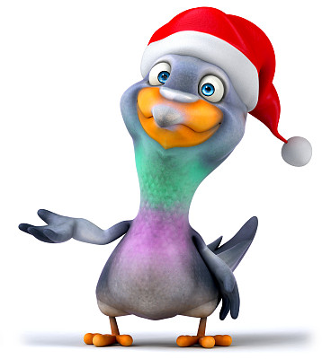 有趣的鸽子图片下载