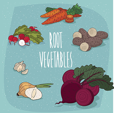 套孤立的clipart可食用根蔬菜图片下载