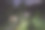 晚上在树林里的房子图片下载