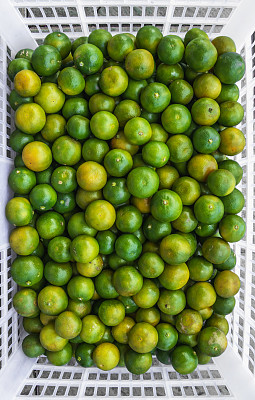 篮子里的泰国金橘图片下载