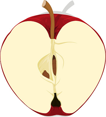 苹果俯视图的一半图片下载