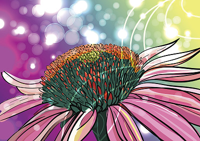 花的背景图片下载