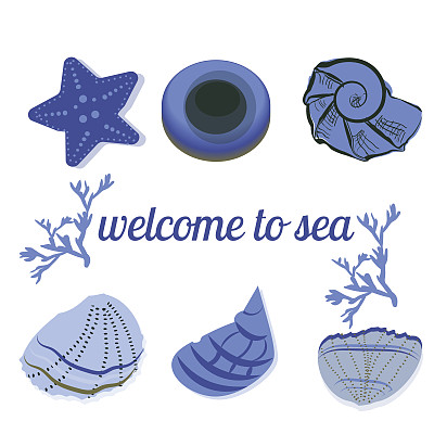 以文字为背景的蓝色海贝图片下载