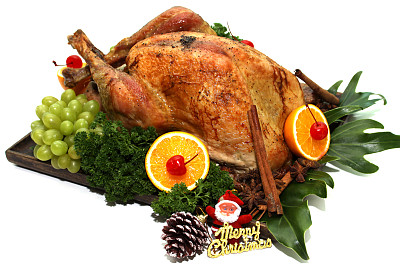 烤火鸡图片下载