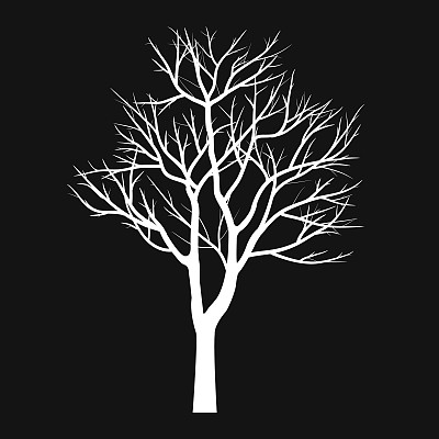 枯枝的树图片下载