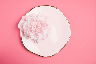 粉色装饰板图片下载