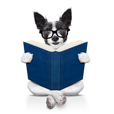 狗在看书图片下载