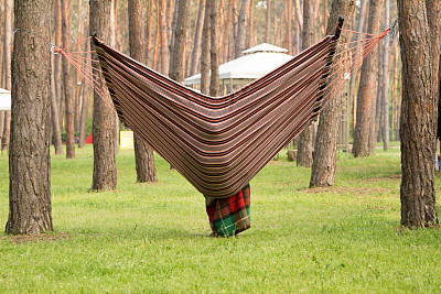 一个人躺在松林里的吊床上图片下载