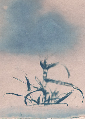 乡村花卉艺术图片下载