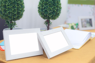 空的画框和花盆里的花图片下载