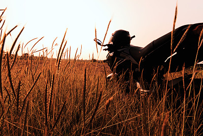 摩托车和草地图片下载