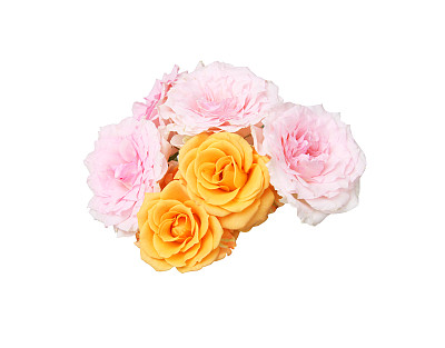 束玫瑰图片下载