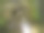 卤素宏图片下载