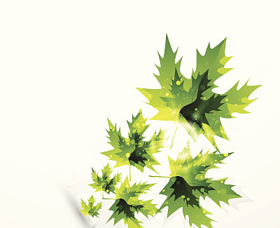 向量叶的概念。自然抽象符号图片下载