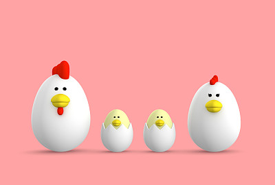 蛋型鸡图片下载