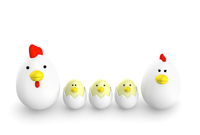 蛋型鸡图片下载