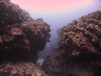 礁石裂缝图片下载