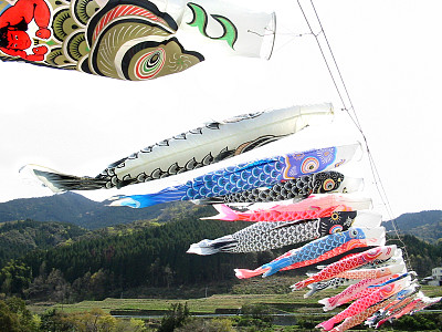 鲤鱼飘带# 4图片下载