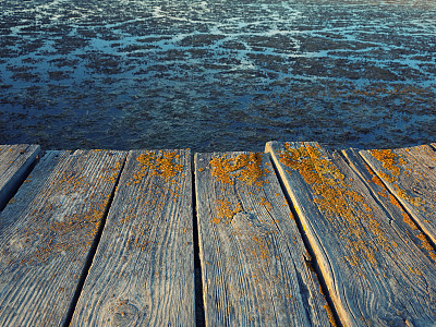 沼泽上方木制平台的照片。图片下载