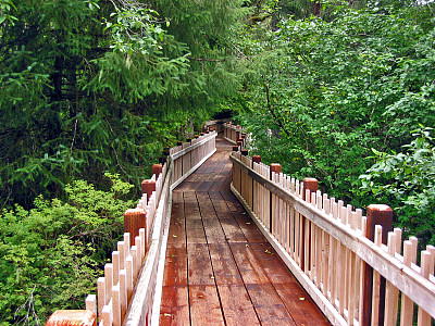 扭木板路图片下载