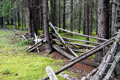破旧的图片下载