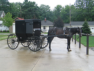 雨后在Buggywash的阿米什童车图片下载
