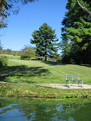 公园的长椅上图片下载